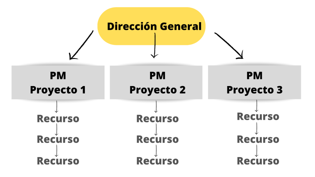 Estructura de la Organización 】 Tipos y Características | SoyPM